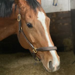 Meet your Posher, Monique